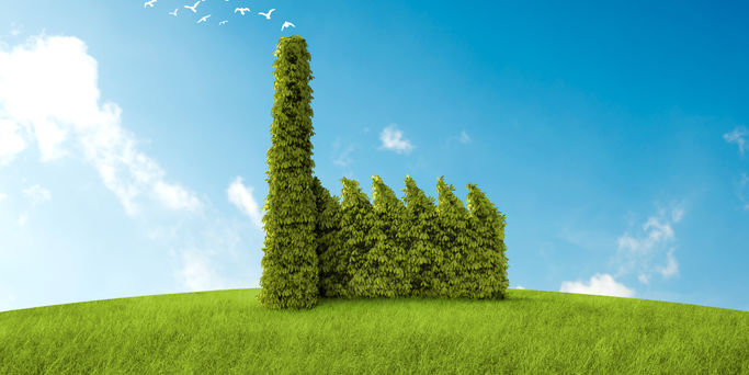 Industrial building with the form of a bush